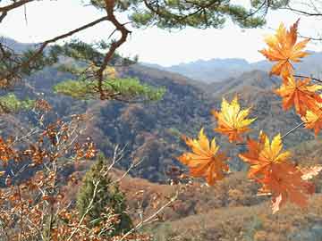 建党节是几月几日（建党节是几月几日?）